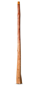 Wix Stix Didgeridoo (WS164)